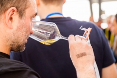 solovino2019-degustazione @ palarocche48